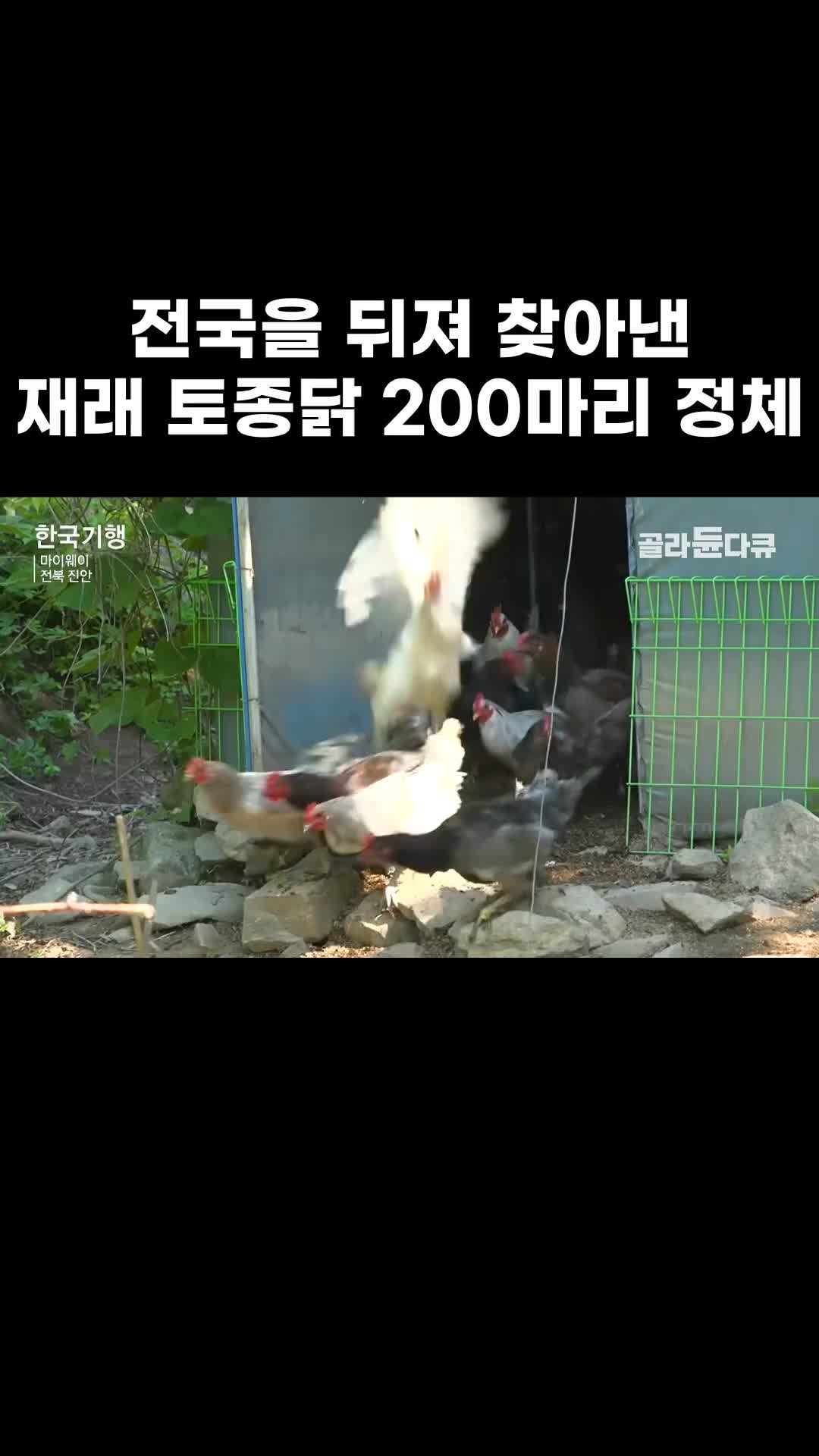 @EBS 다큐