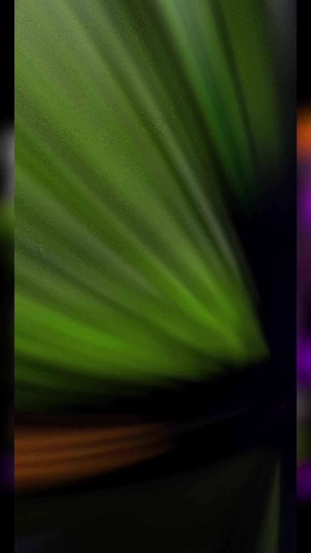 @💚💜 🧡 Lala🧡💜💚 DXL💚
