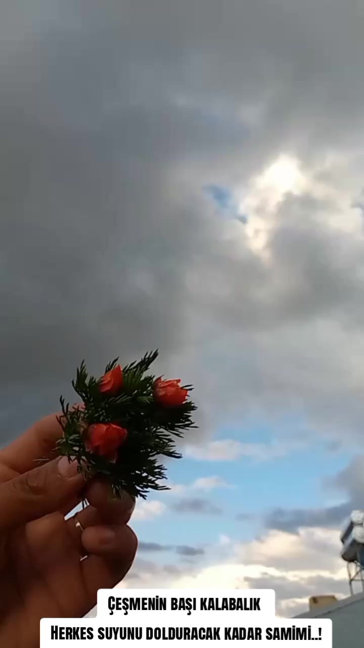 @"🦋
