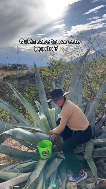 @🦋Silvanitha🌻🇵🇪