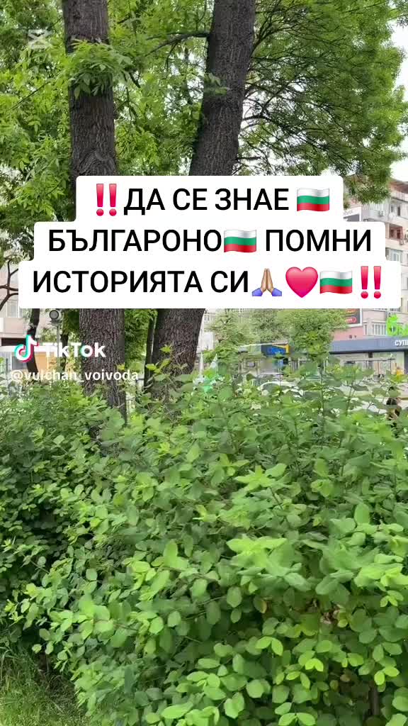 @Steikatas1
