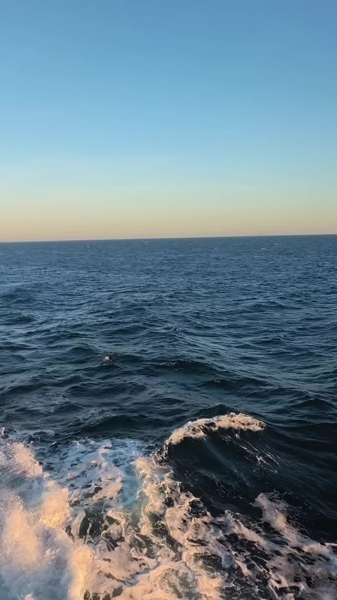 @Dino 🇭🇷🧡🇭🇷❤️