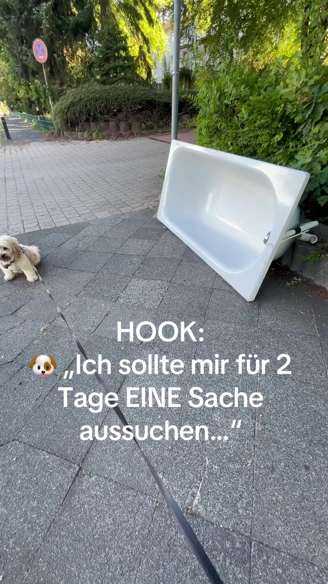 @DogMilow
