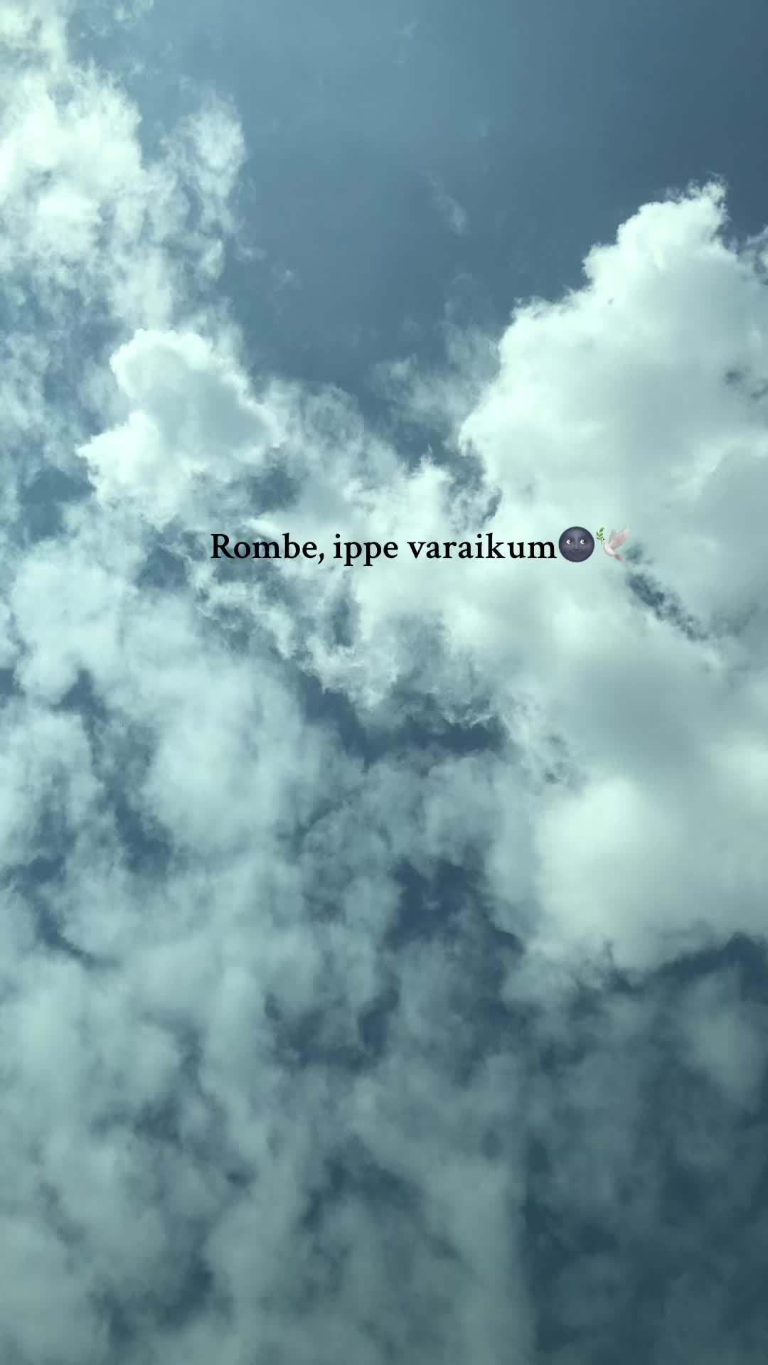 @𝓥.🍷