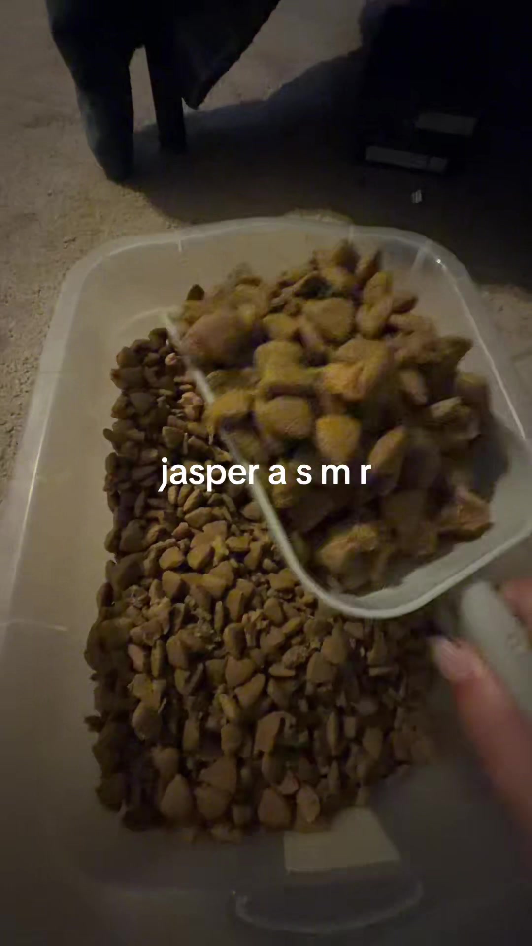 @jess