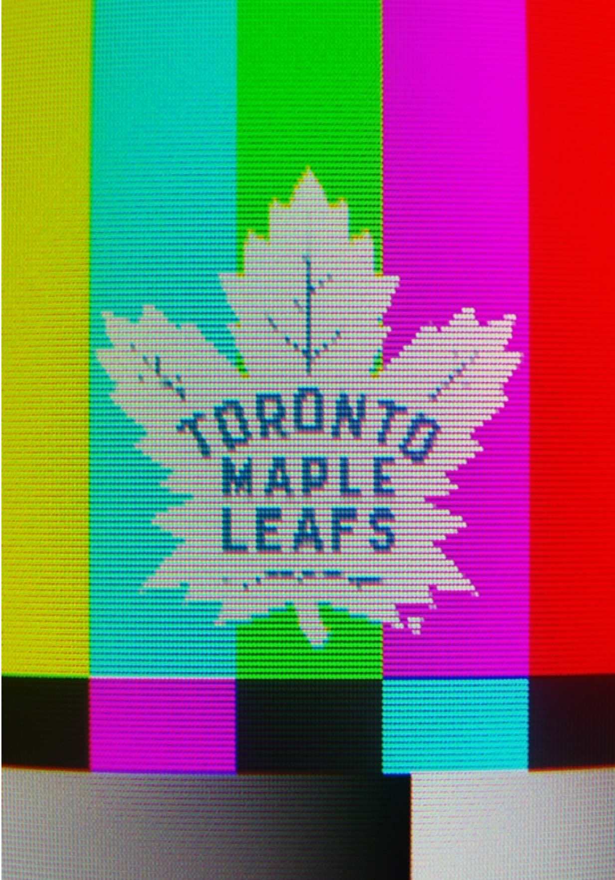 @Toronto Maple Leafs