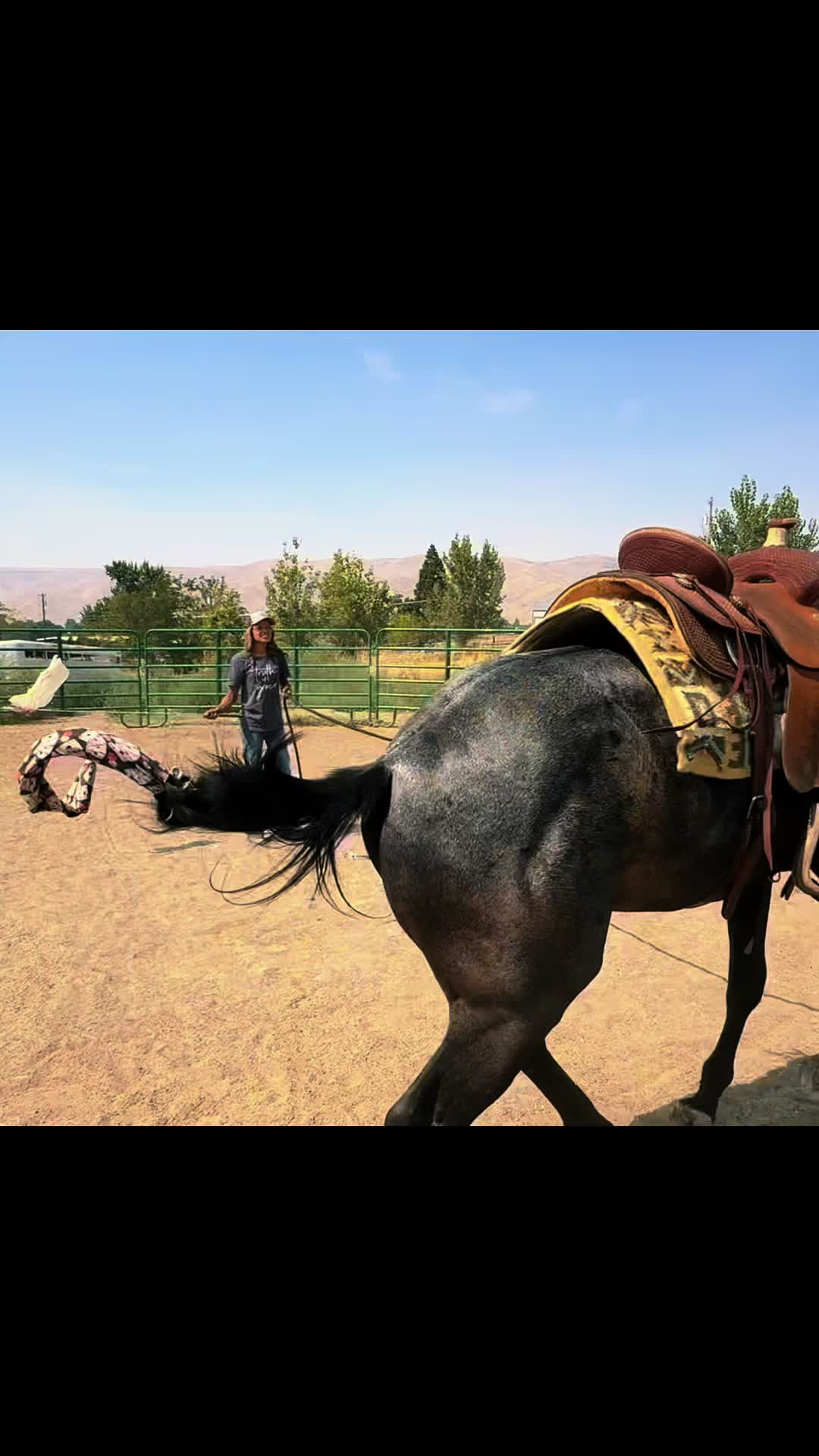 @Cowgirl Tuff Colt Training ❤️