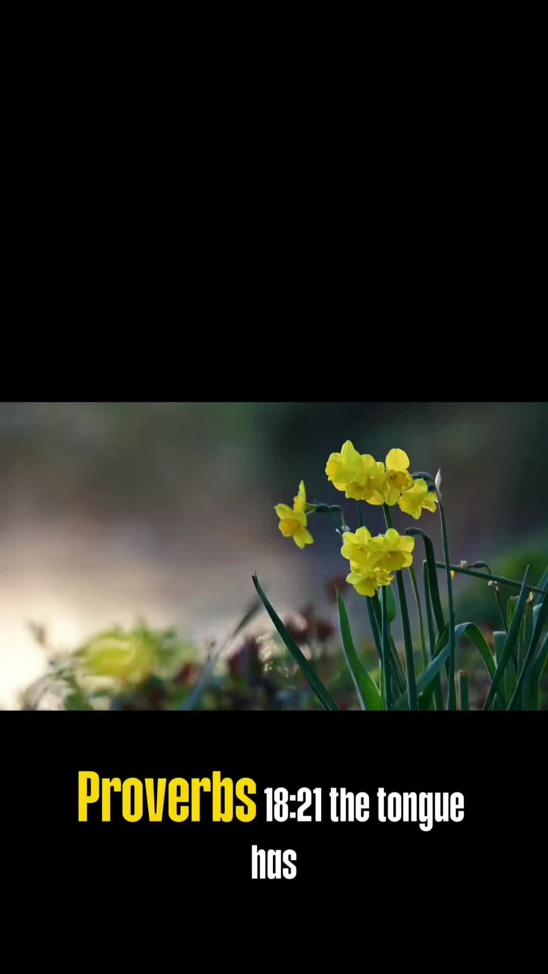 @inspiredby_thewords