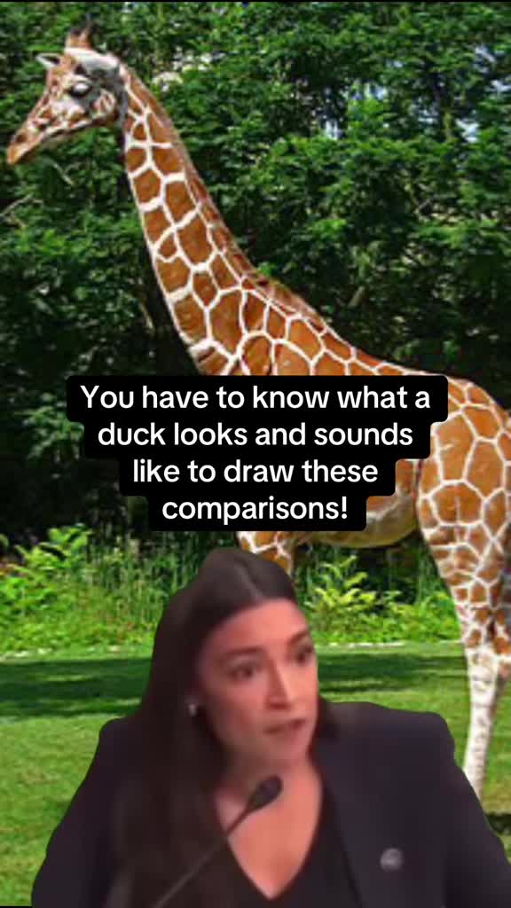 @Mick