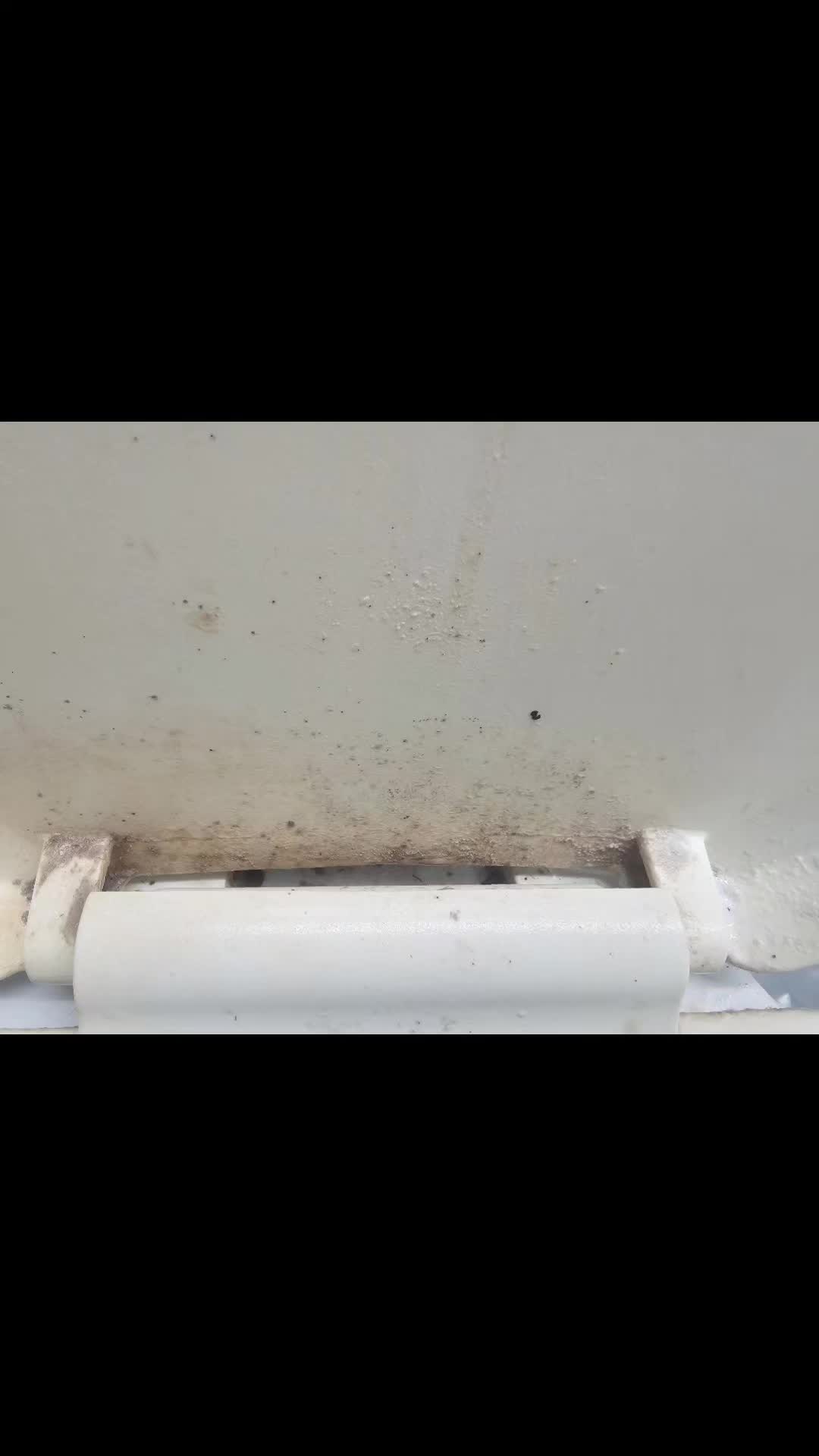 @GracefulCleaningLLCNikkiGreene