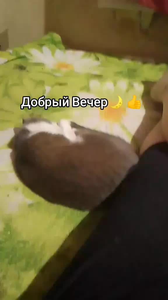 @Nina 18685