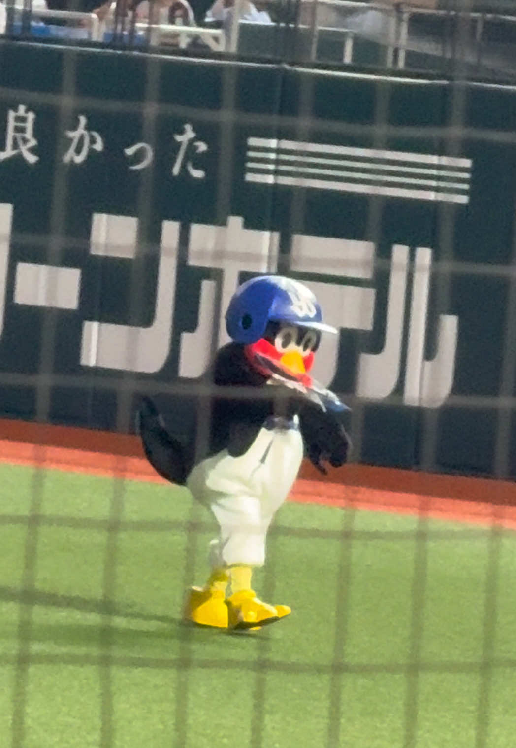 @りんちゃん⚾️やきう