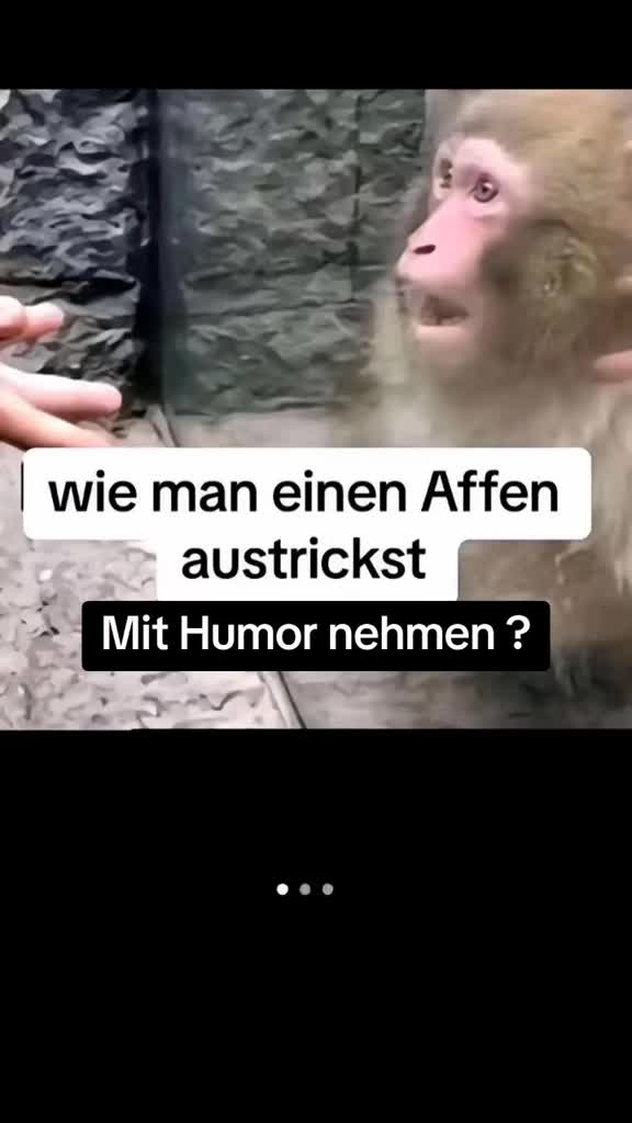 @ihr_king