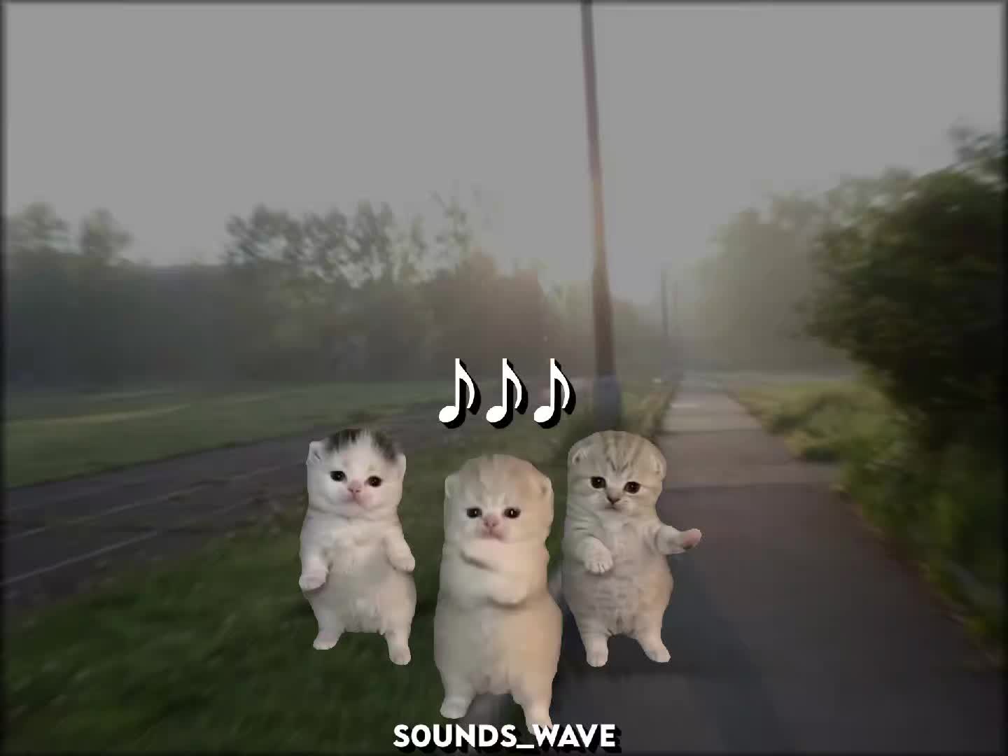 @𝕤𝟘𝕦𝕟𝕕𝕤_𝕨𝕒𝕧𝕖