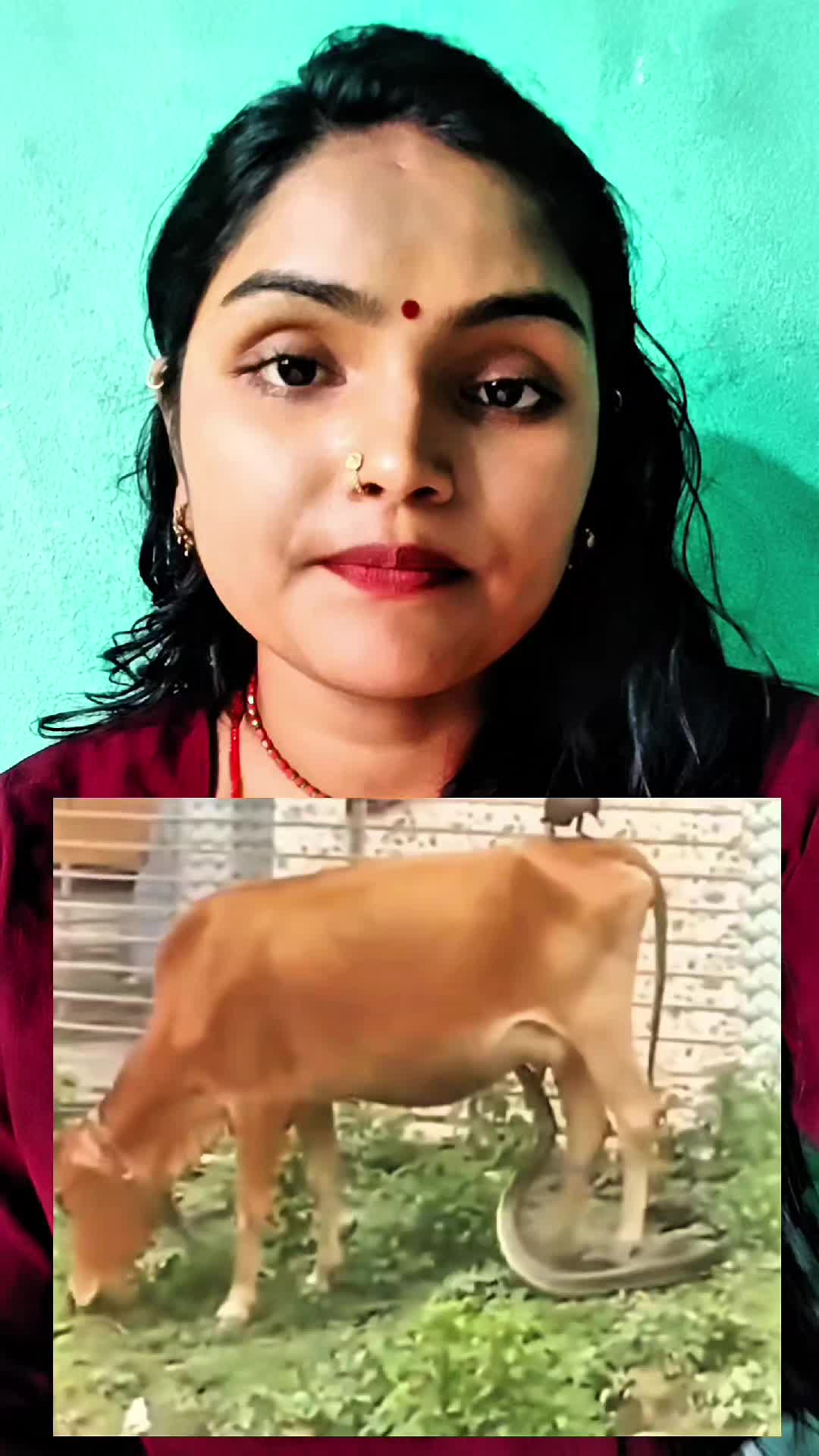 @seema sharma