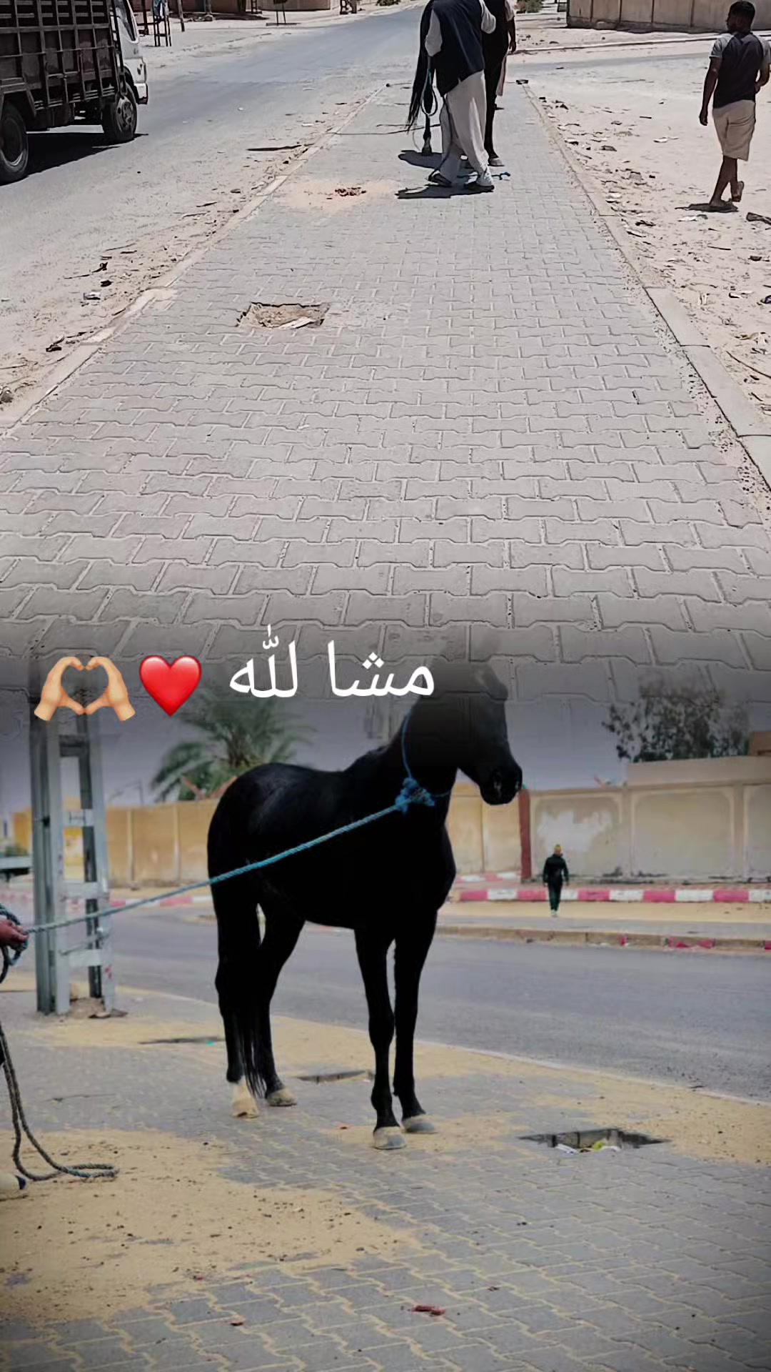 @لسمراني