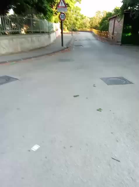@mariachirichella211069