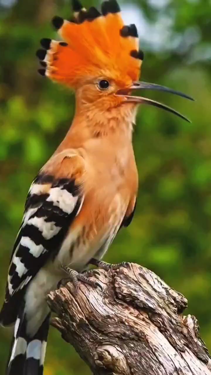 @wIild_snap