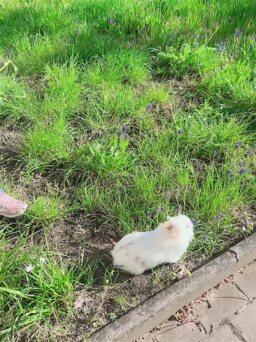 @ПЕТЪР ИЛИЕВ