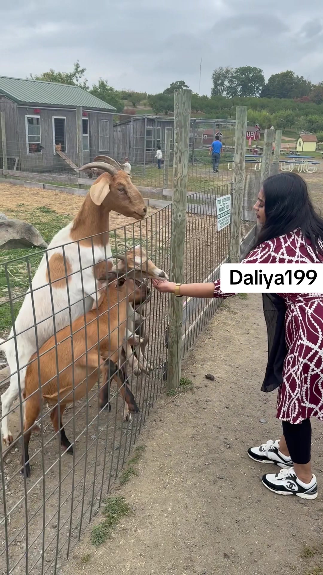 @Daliya199_USA🇺🇸