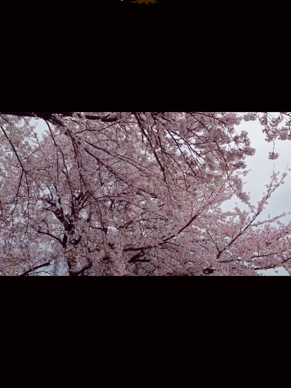 @とびはっち