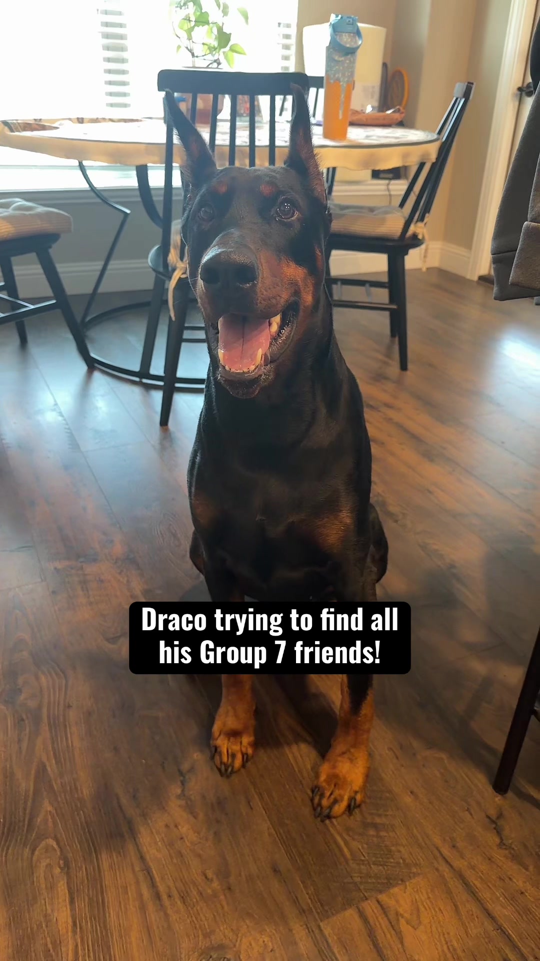 @DracosTTS Deals