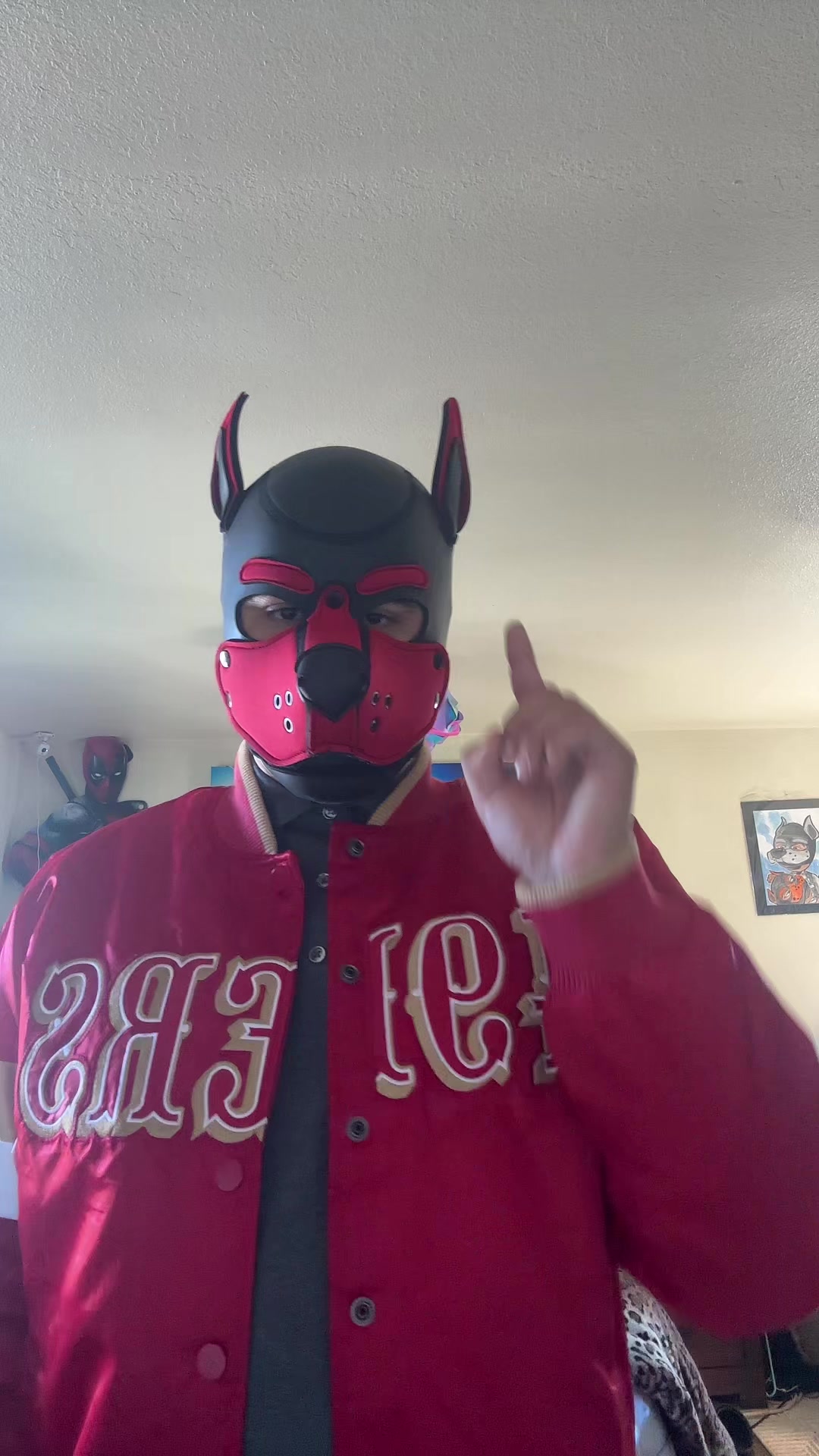 @pup_fenrir