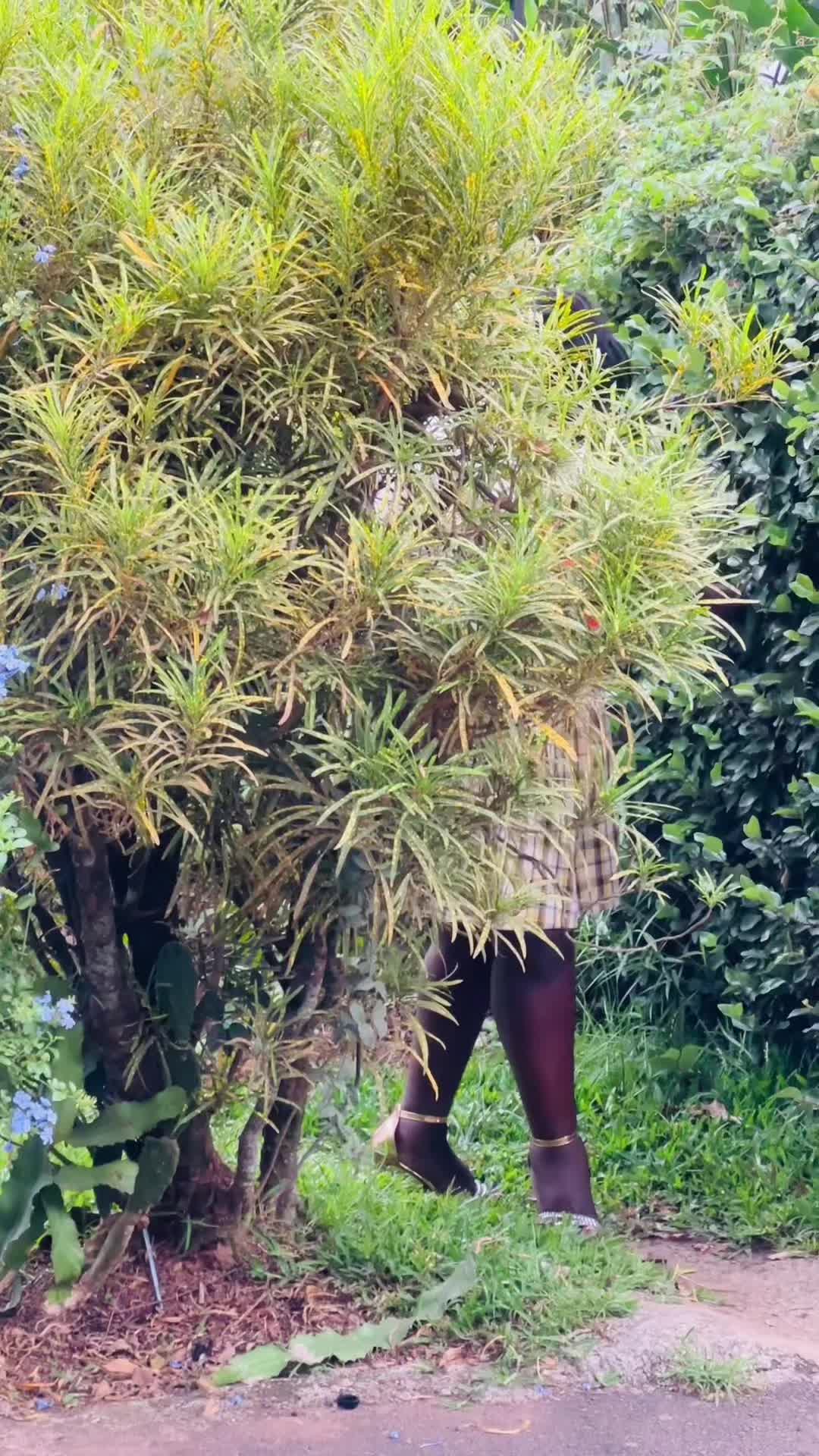@Maama napuide