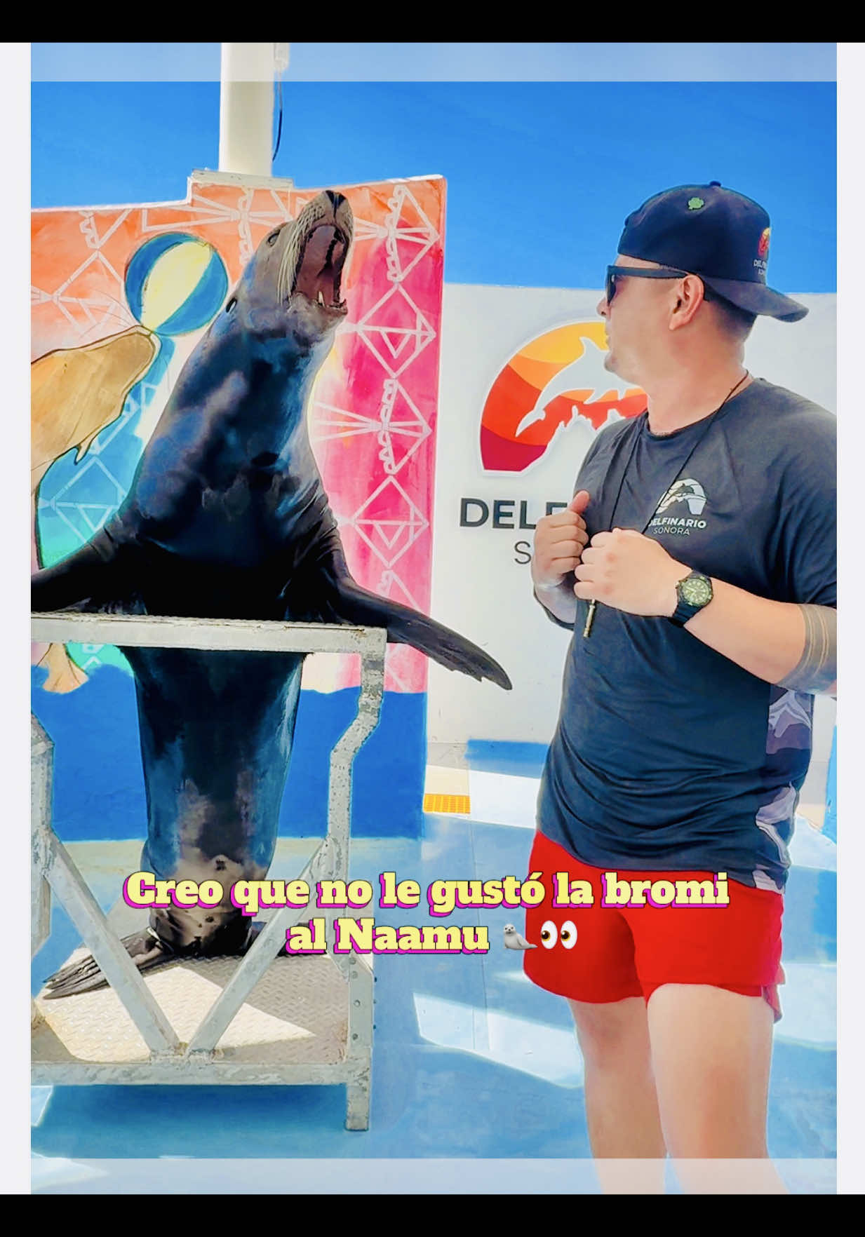 @Juan Anaya Trainer 🐬🦭