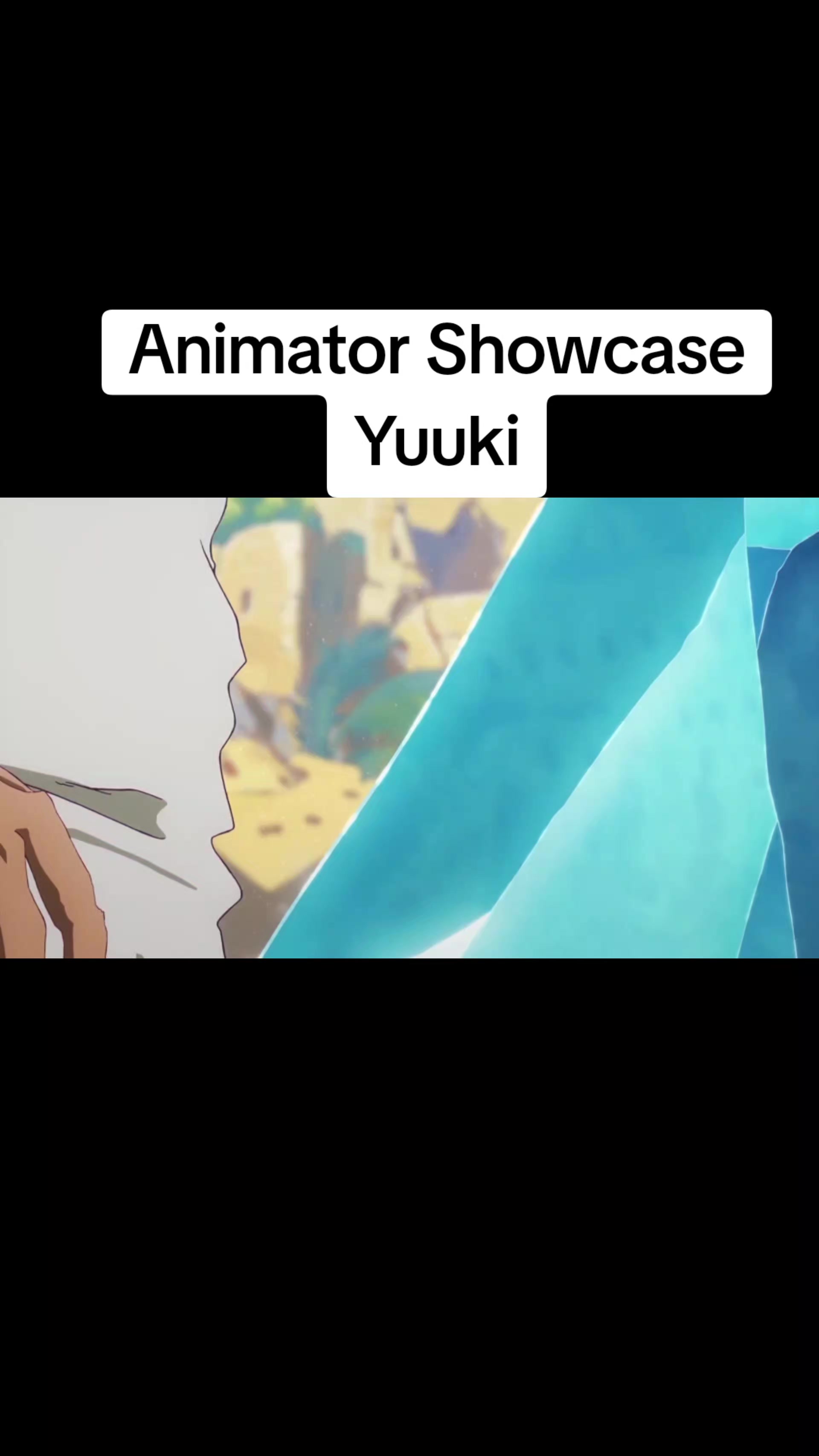 @sakugav1de0s
