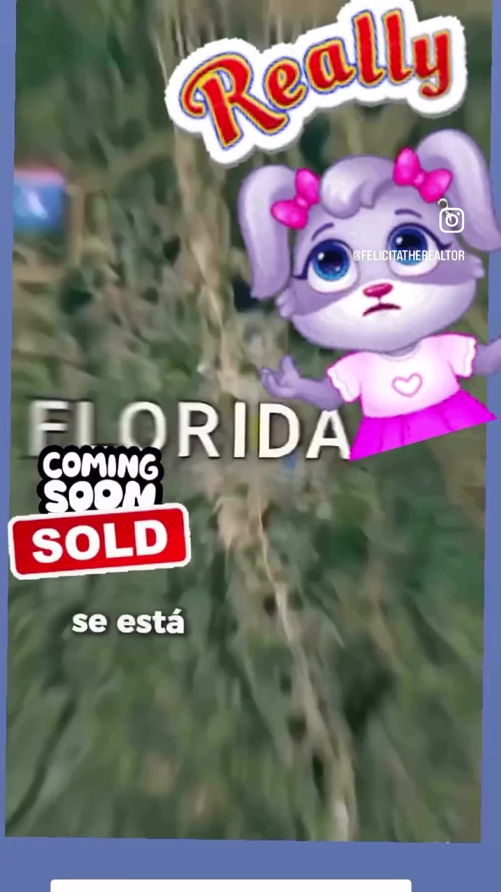 @Realtor Felícita