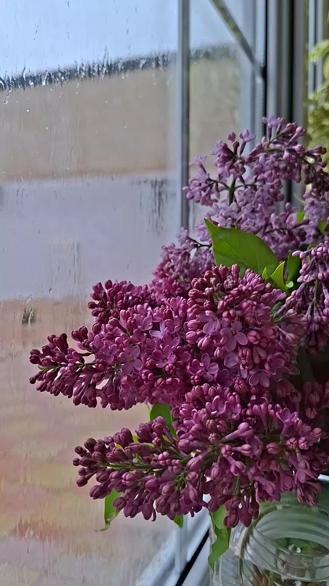 @𝓐𝓻𝔃𝓾_𝓜𝓪𝓭𝓪𝓭𝓸𝓿𝓪