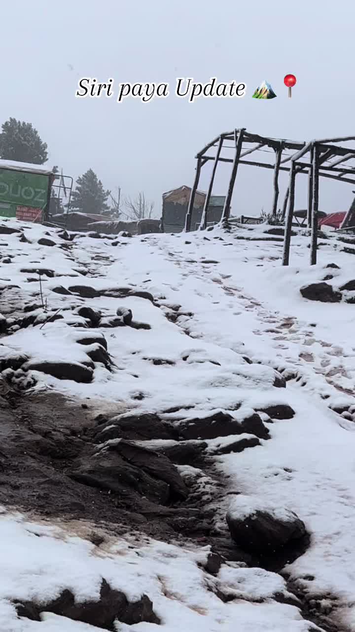 @Shogran Vibes