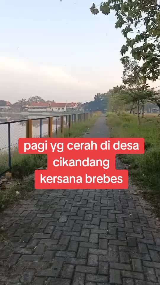 @fly over dermoleng