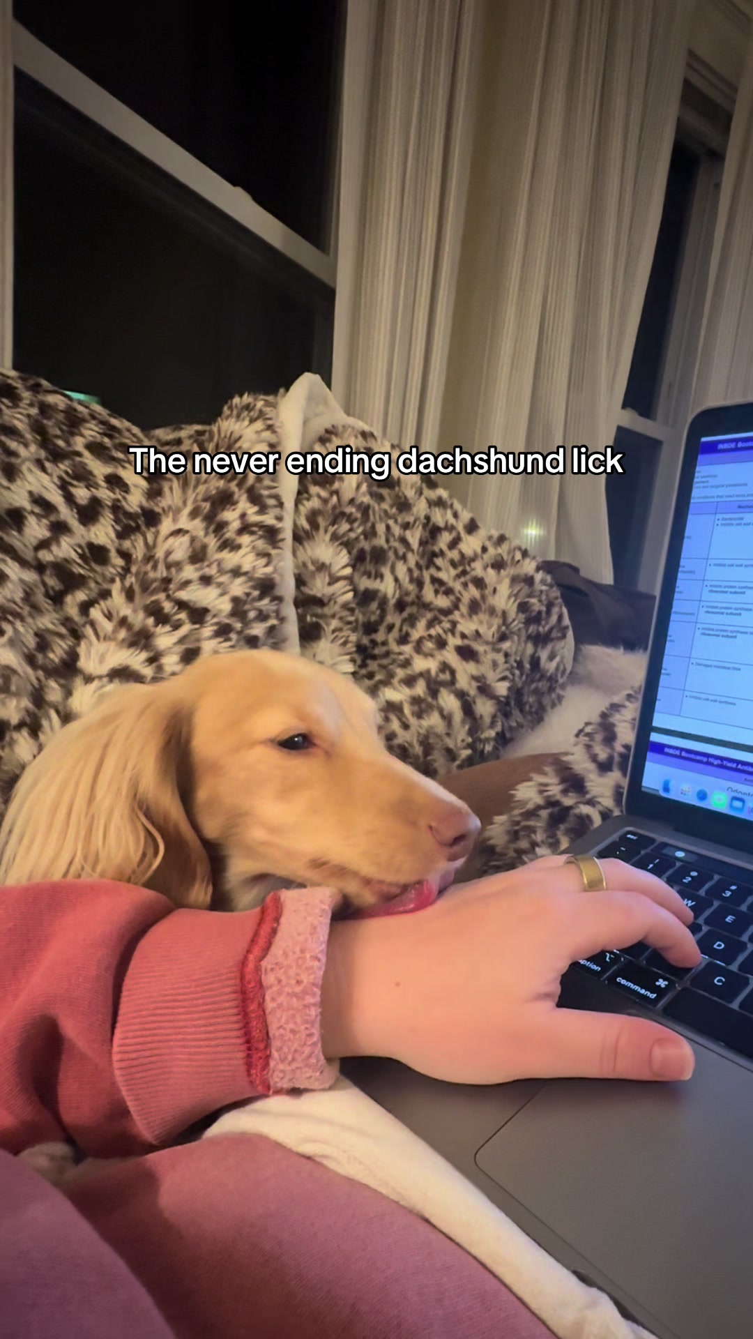 @Cashew