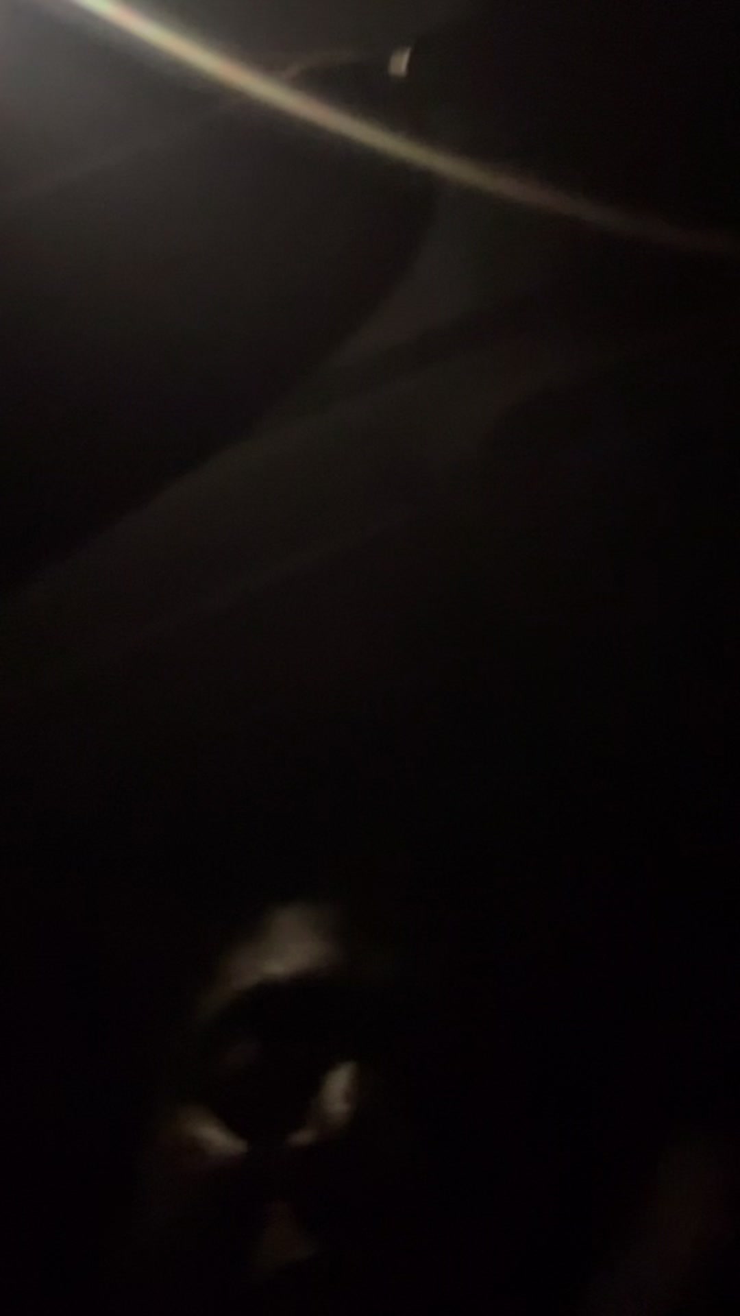 @boogiesuniverse