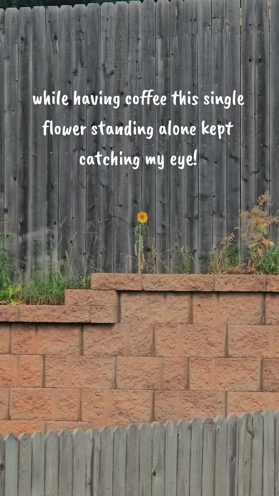 @Debbie
