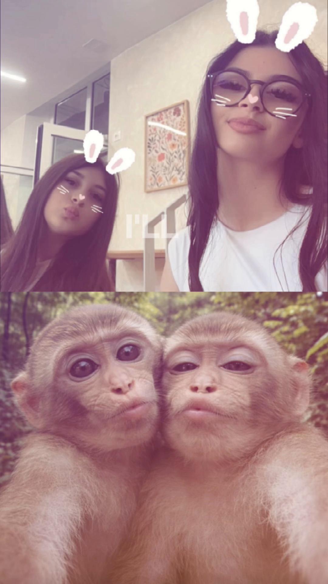 @nikol_zgs