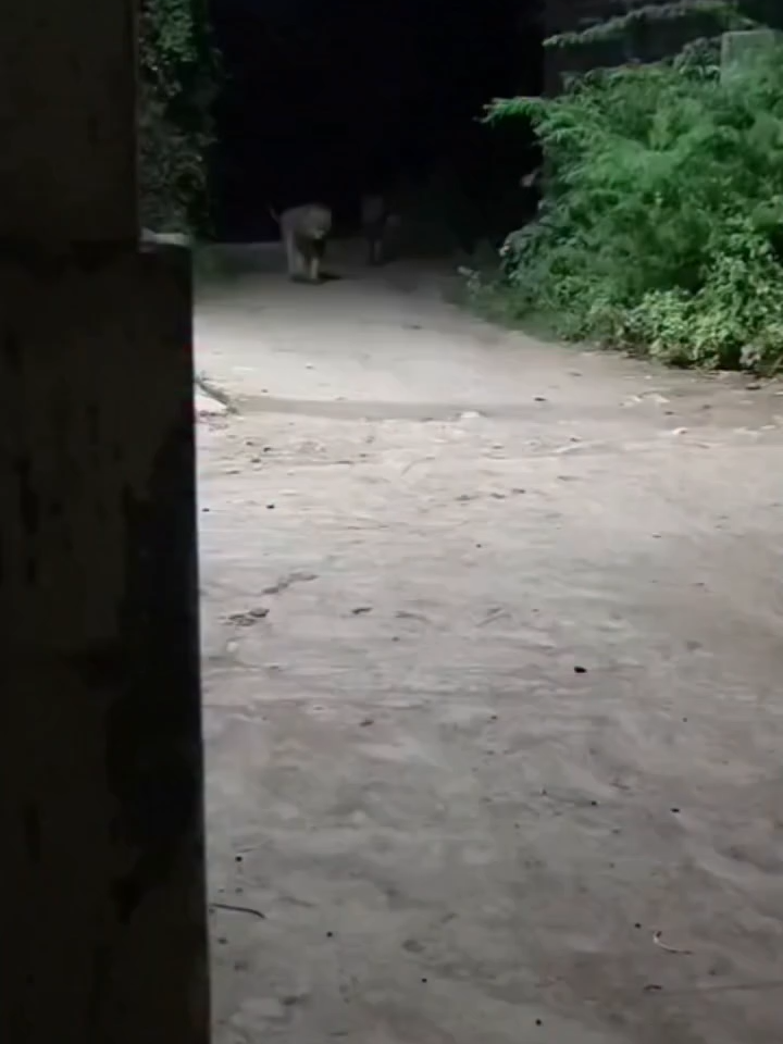@kumar