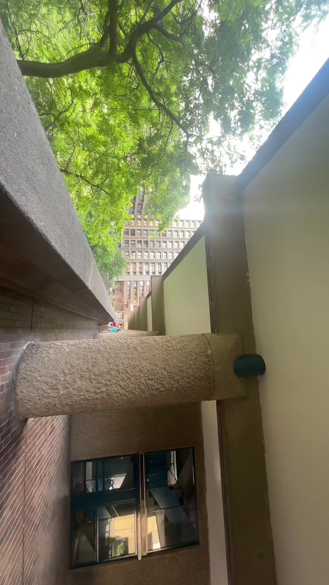 @🦆