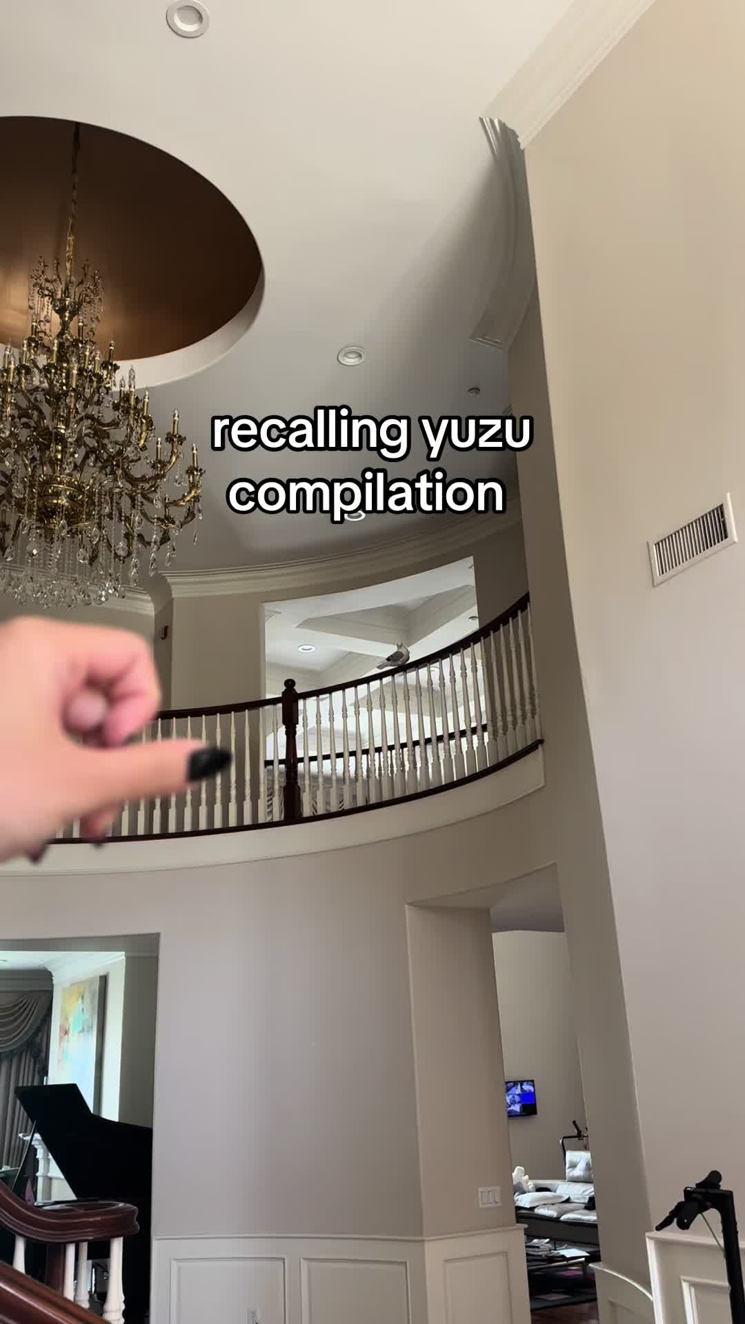@yuzu !!