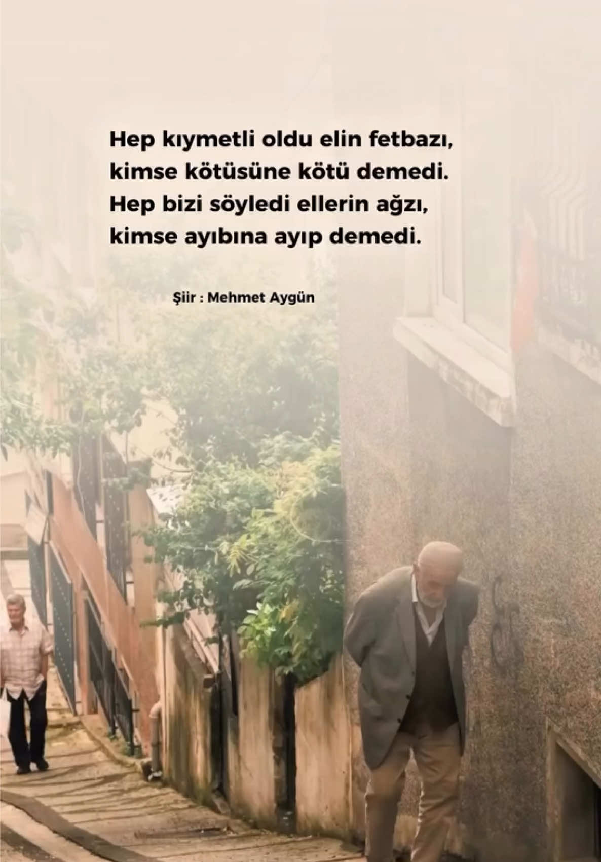 @Mehmet Aygün
