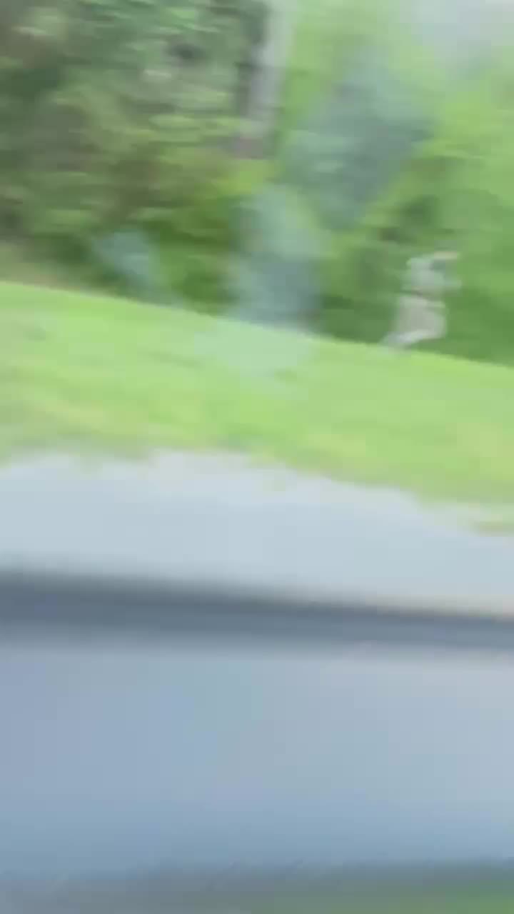 @Notijax