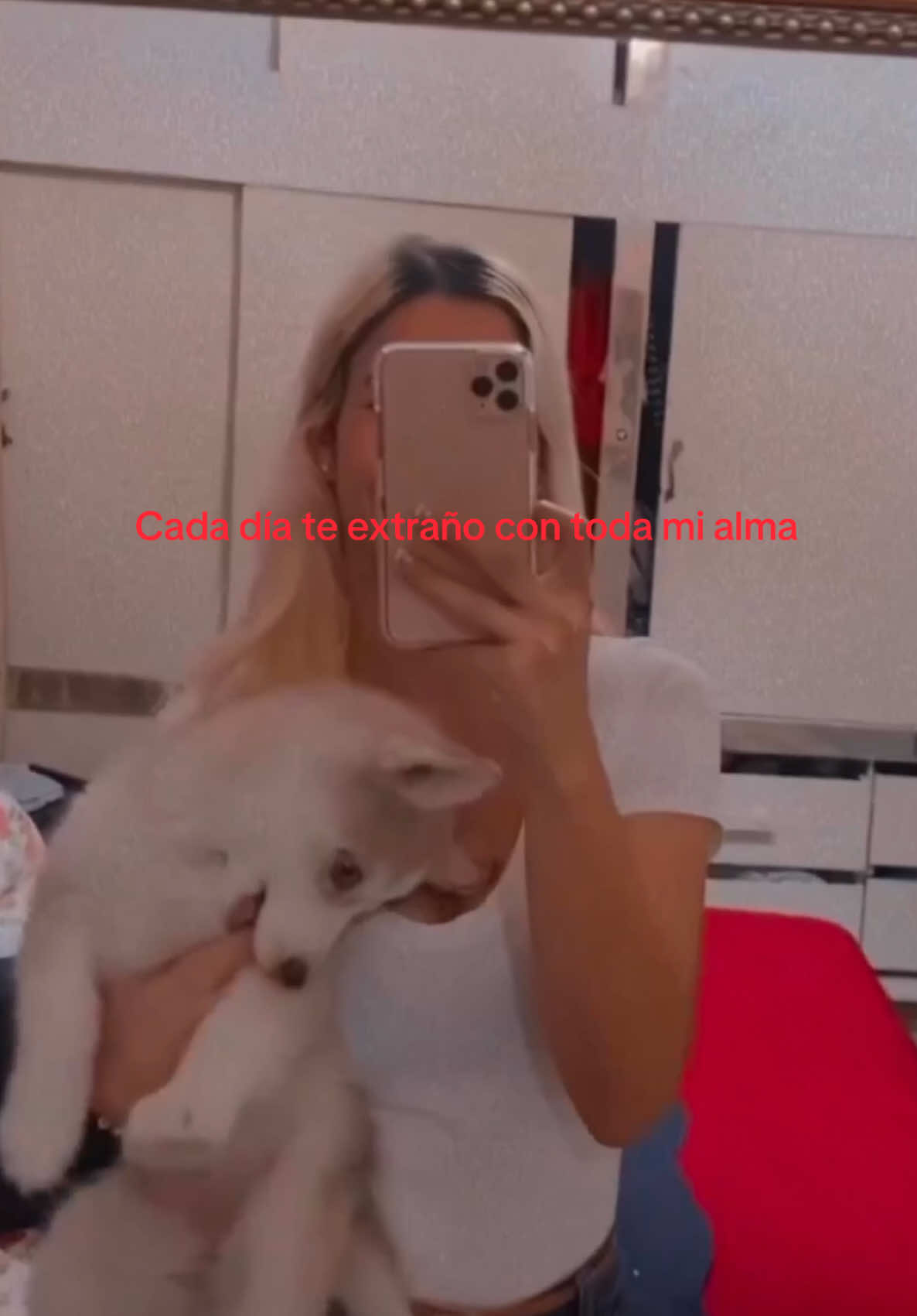 @Ony Velazco