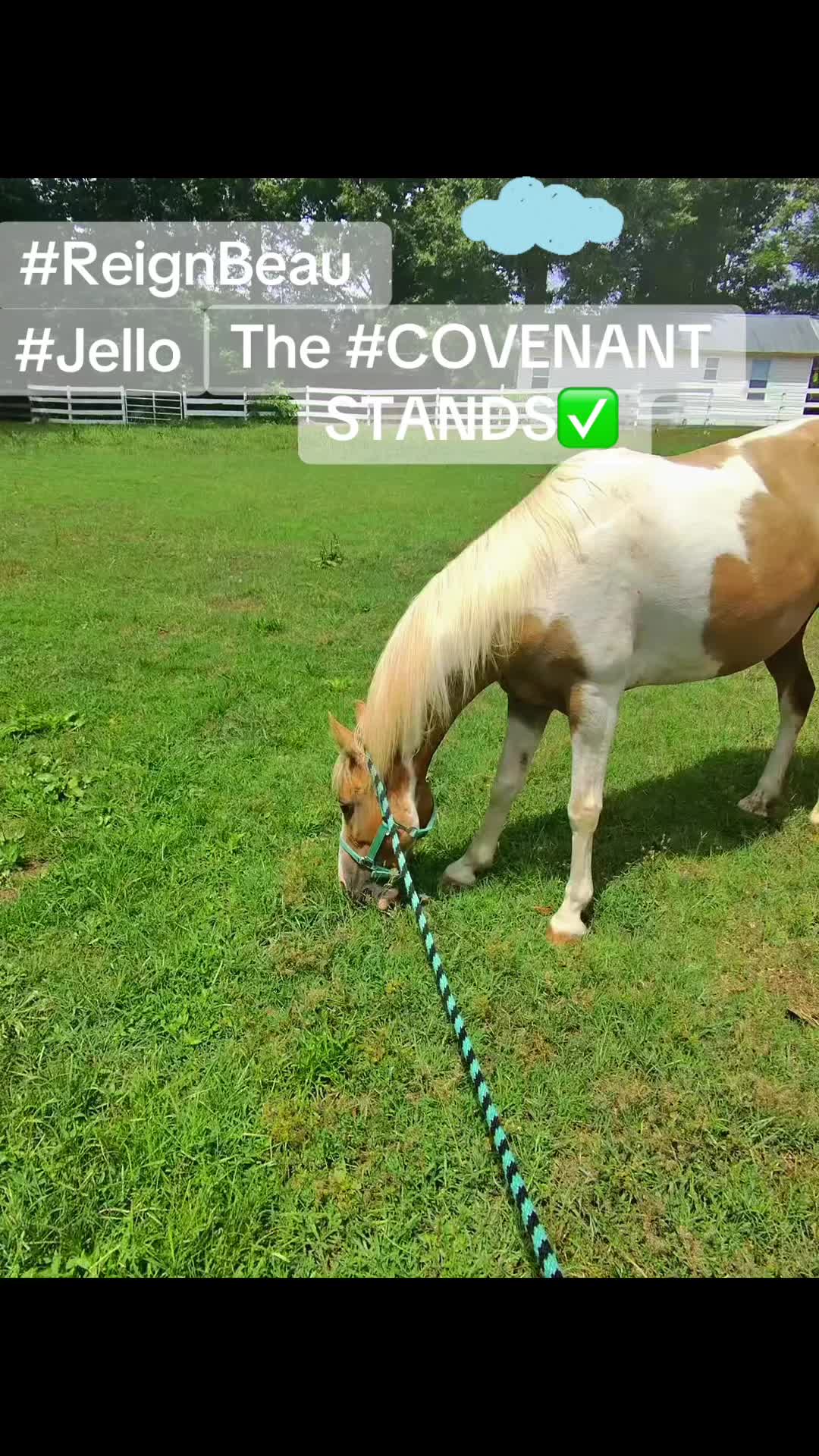 @RealBlackCowgirls