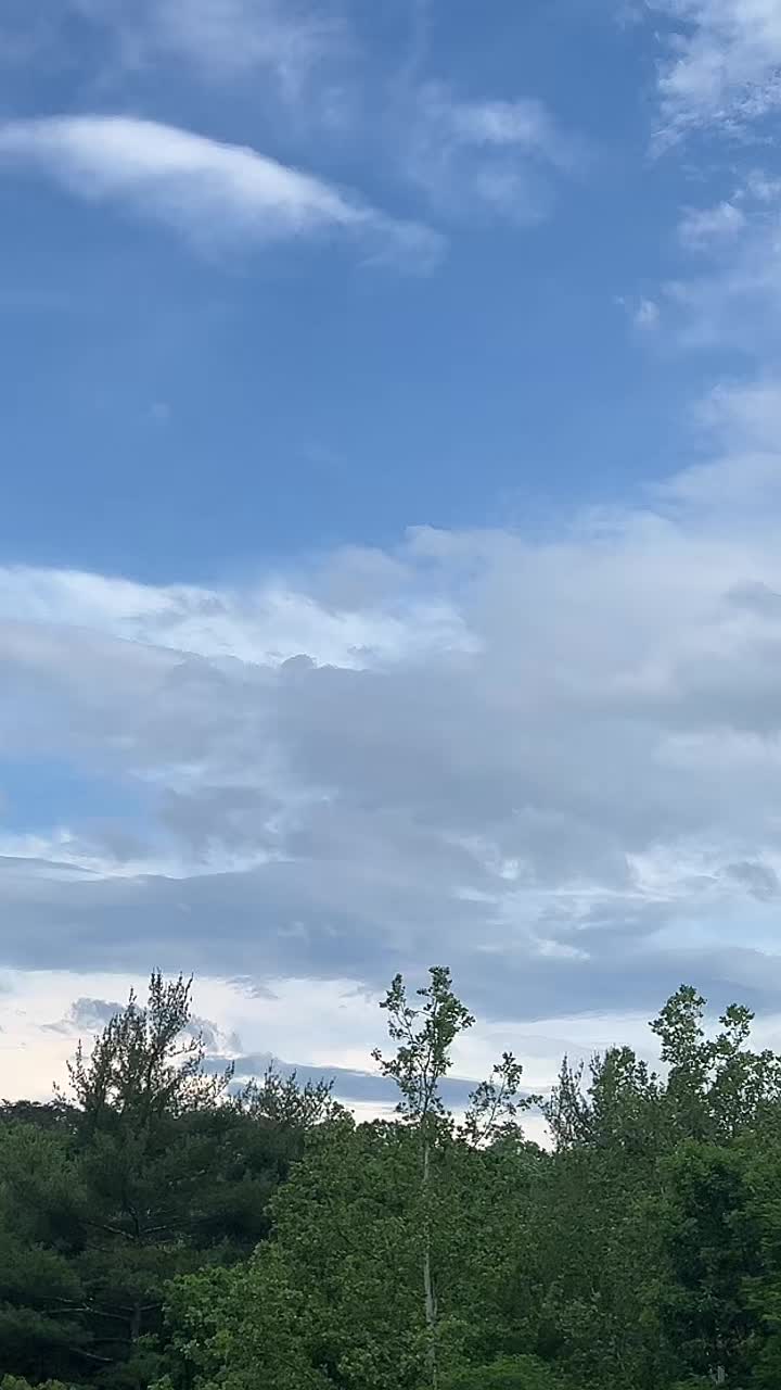 @Eldelascanicas🇸🇻🌺🇭🇳🌙🐍