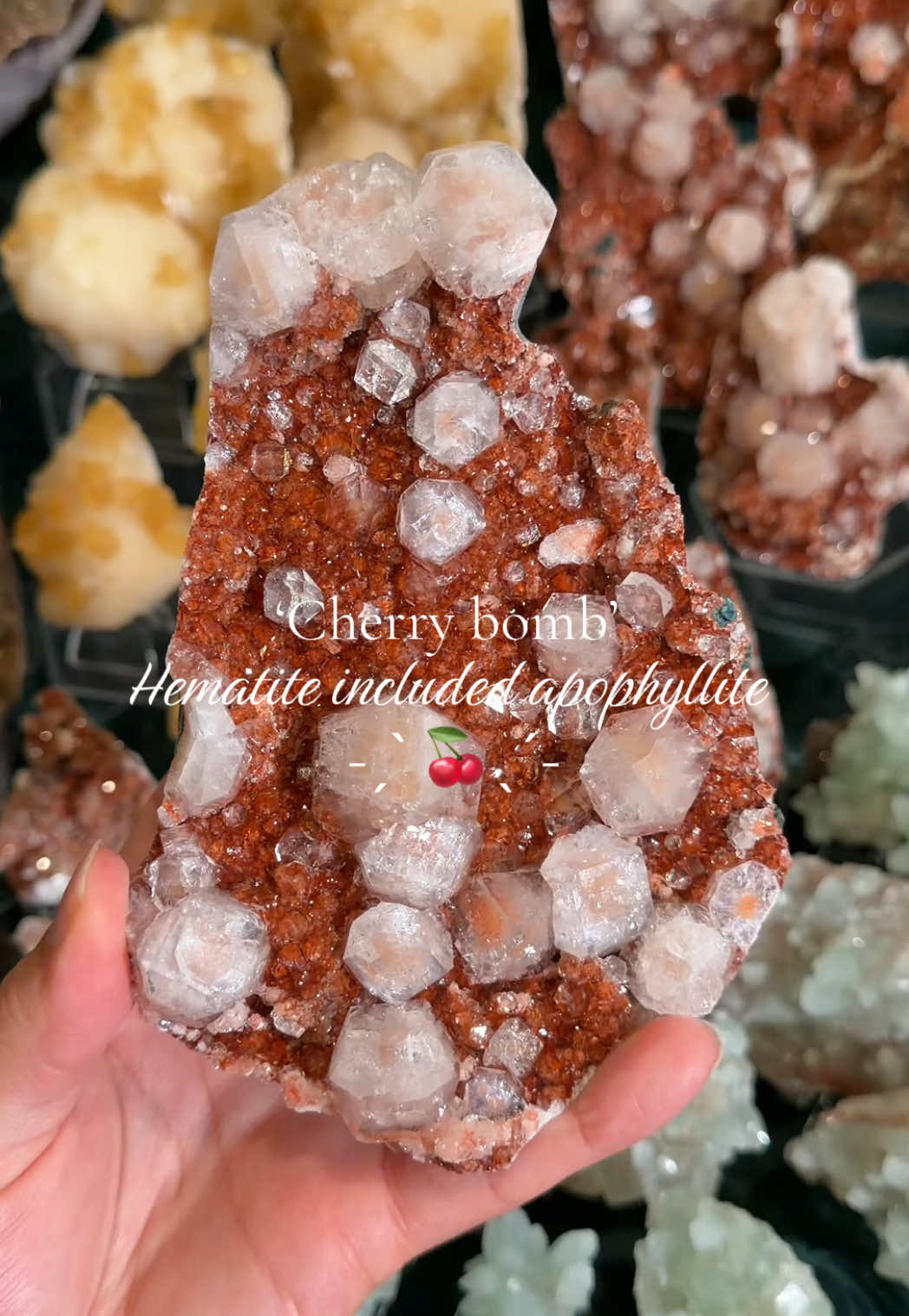 @Ettores Gems