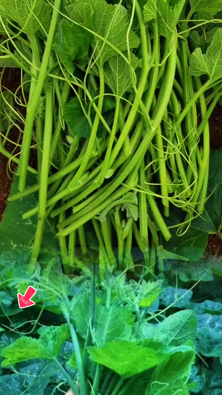 @tới đồ dùng