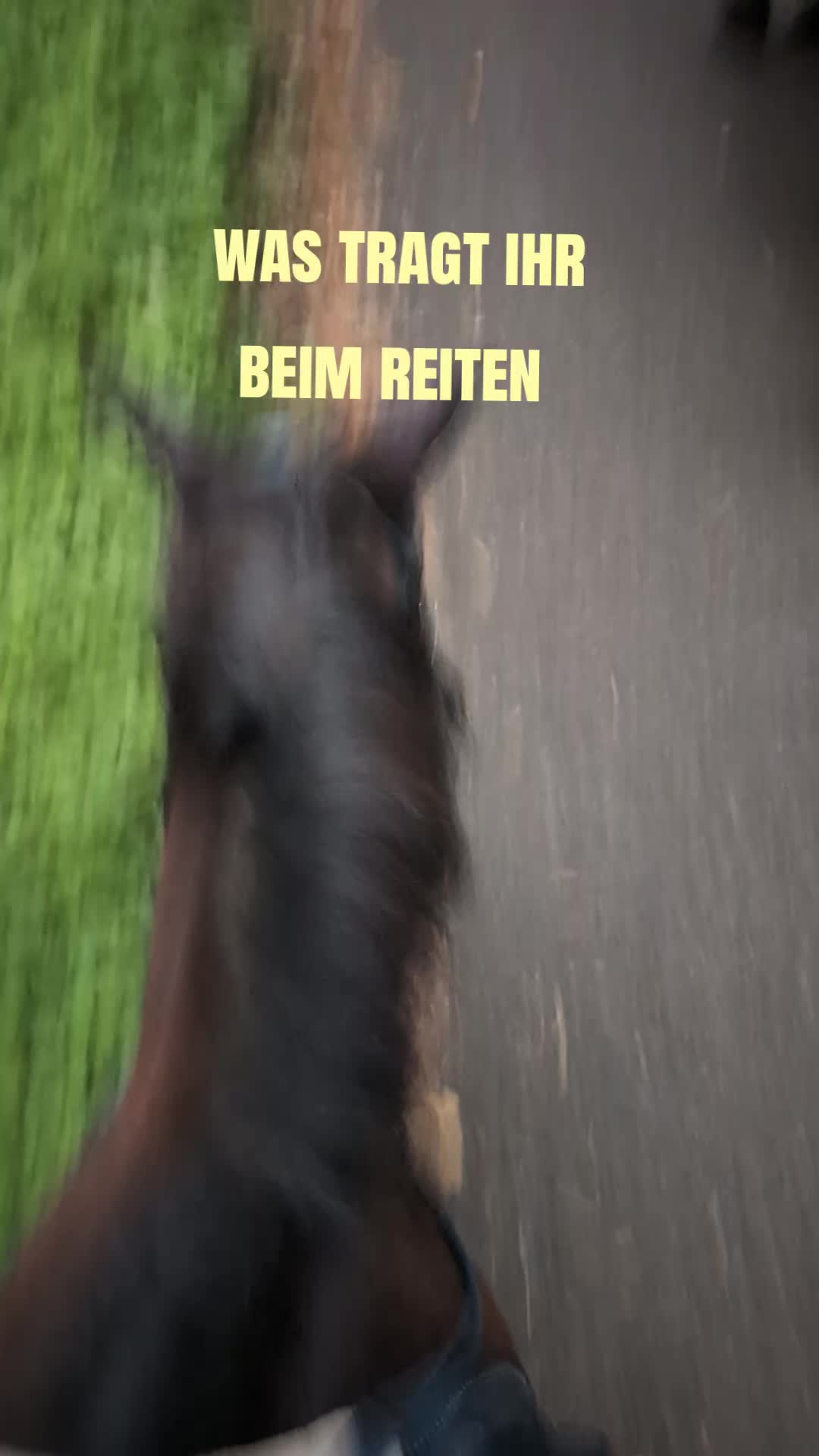 @hxnnxh_nbg