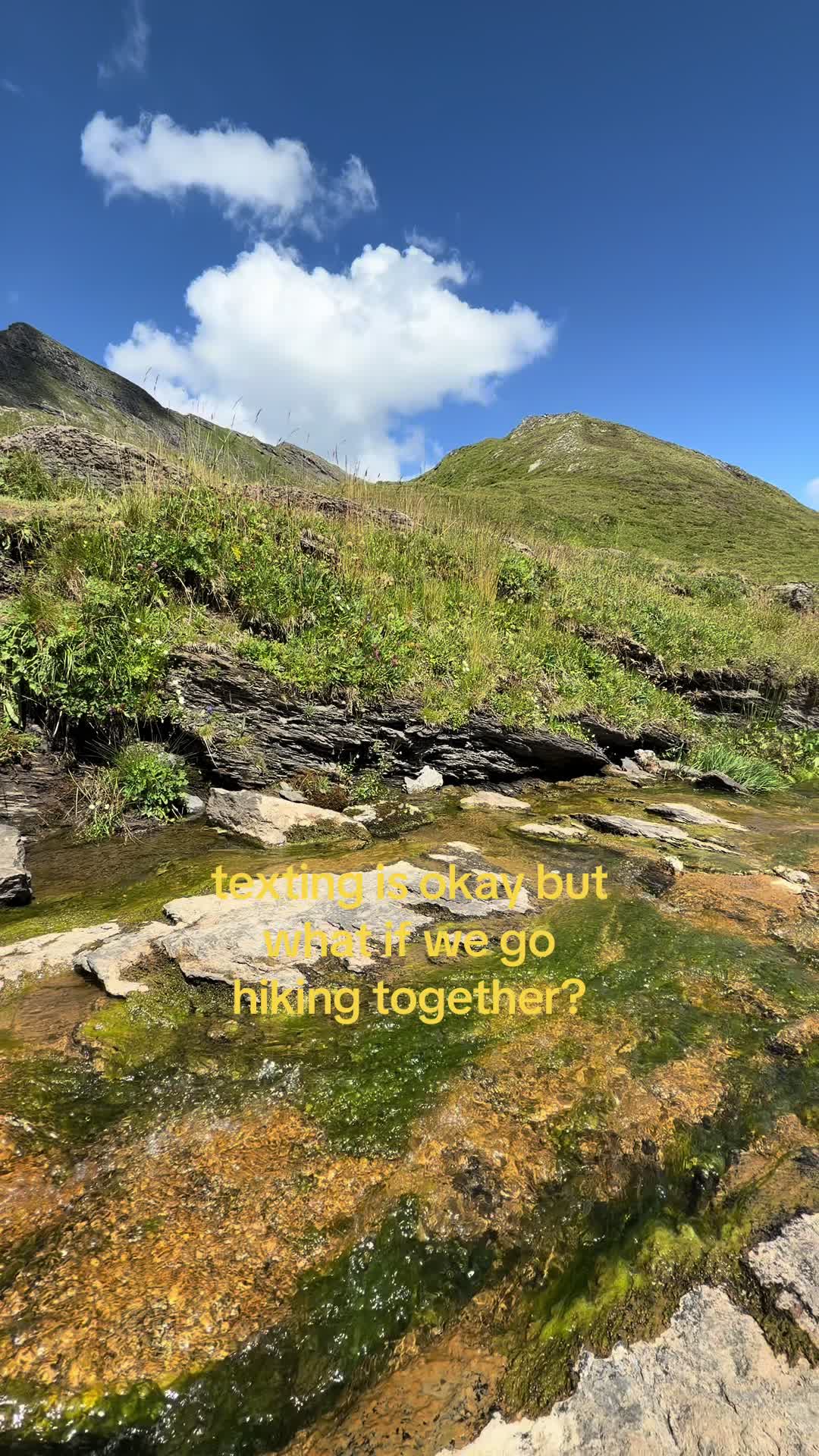 @Vinchik🏔️
